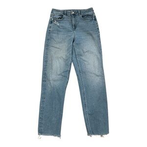 American Eagle Curvy Mom Distressed Jean